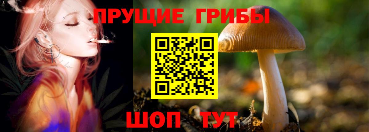Галлюциногенные грибы Psilocybe Симферополь